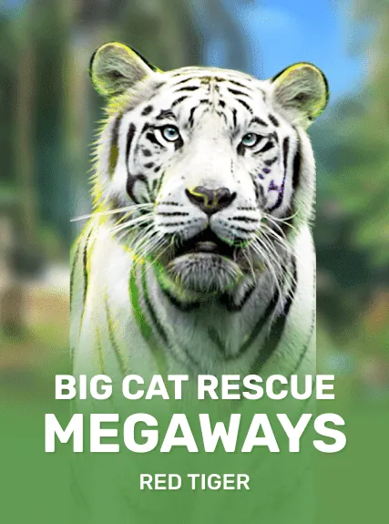 Big Cat Rescue Megaways slot oyunu